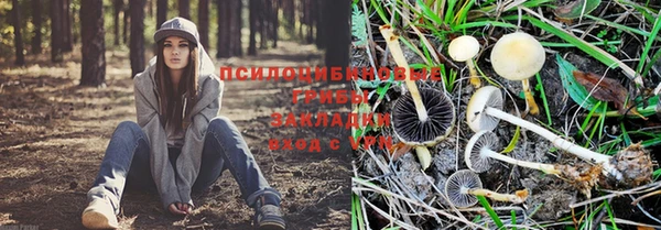 синтетический гашиш Богданович