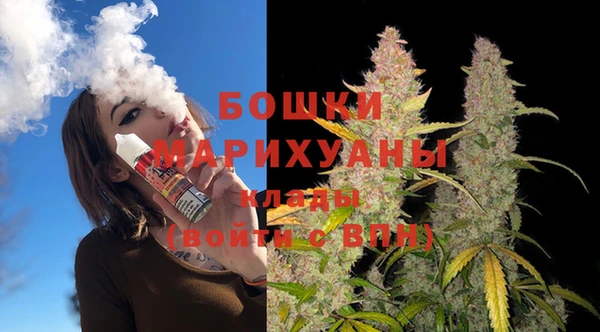 СК Богородск