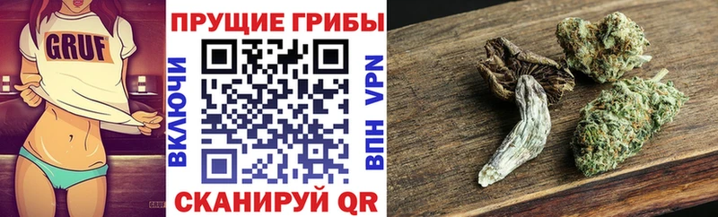 Псилоцибиновые грибы мицелий купить Армавир