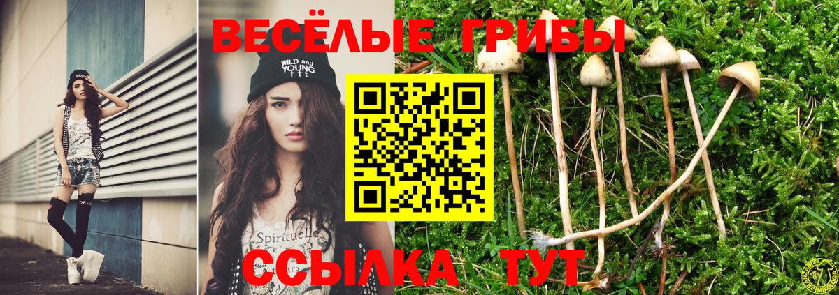 Псилоцибиновые грибы мухоморы  Псилоцибиновые грибы Cubensis  Армавир  Вход с VPN 
